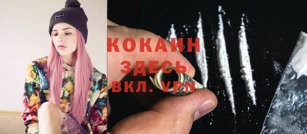 гашик Новозыбков