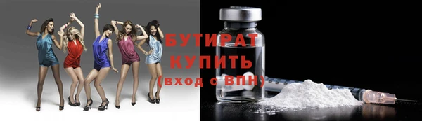 гашик Новозыбков