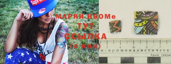 гашик Новозыбков