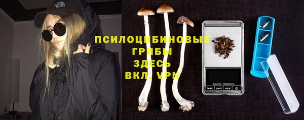 гашик Новозыбков